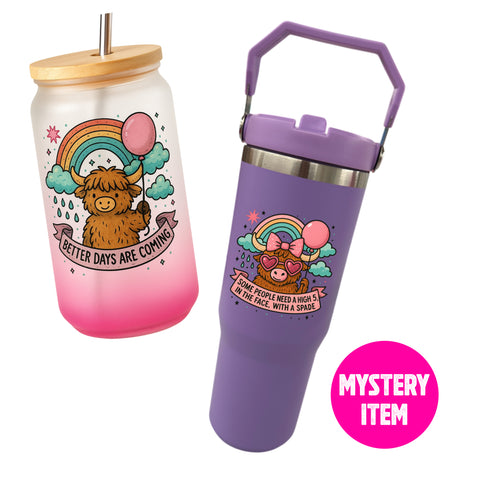 £10 Highland cow mystery item