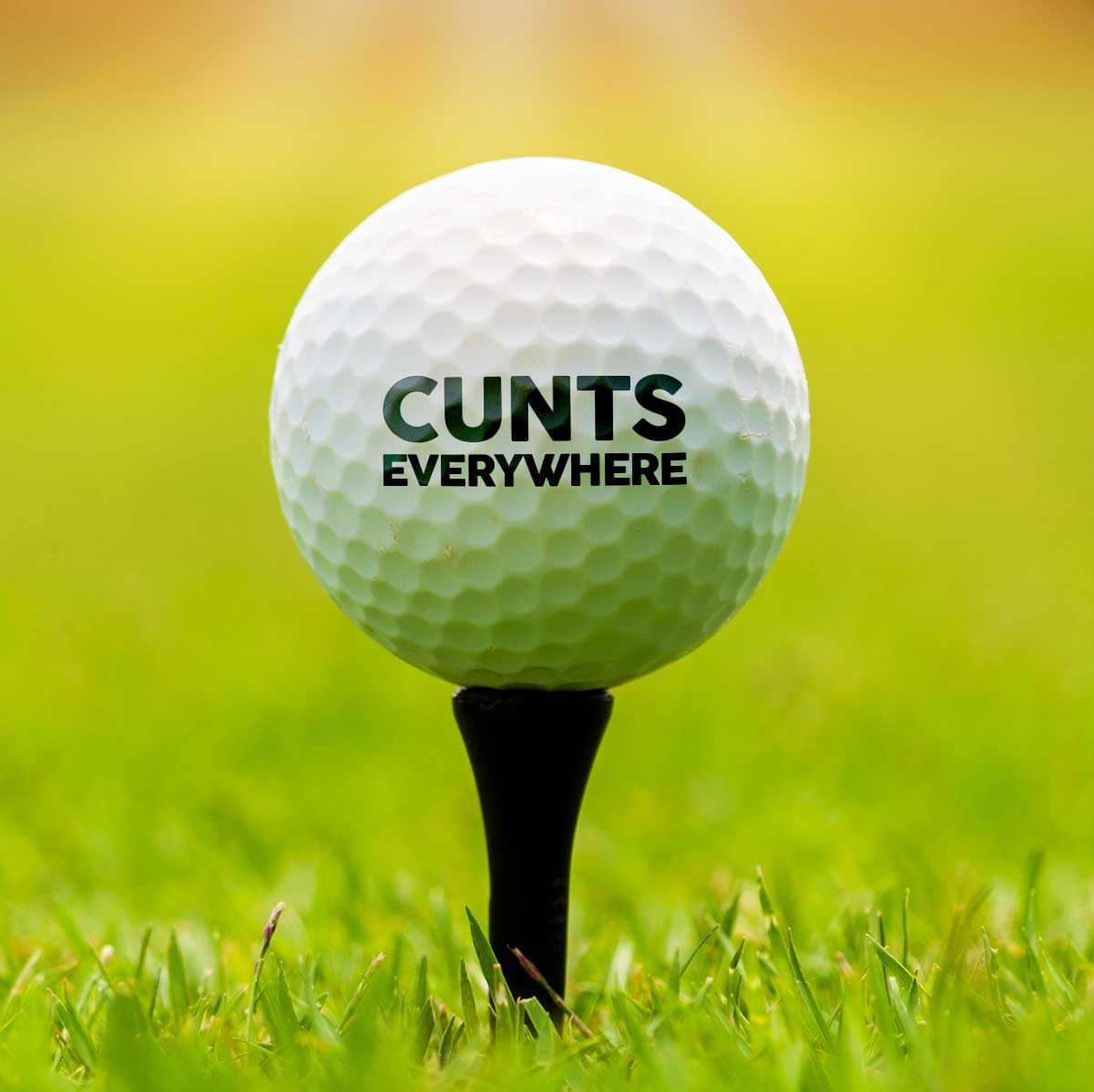 Cunts Everywhere Printed Golf Ball | Funny Golf Gift | Gift For Him
